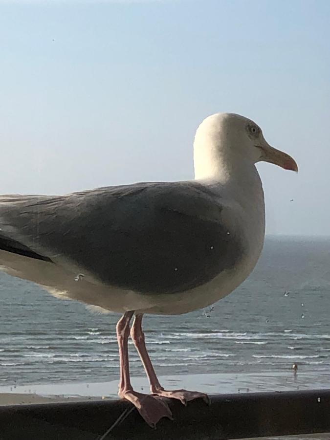 Royal Zeezicht Oostende Экстерьер фото